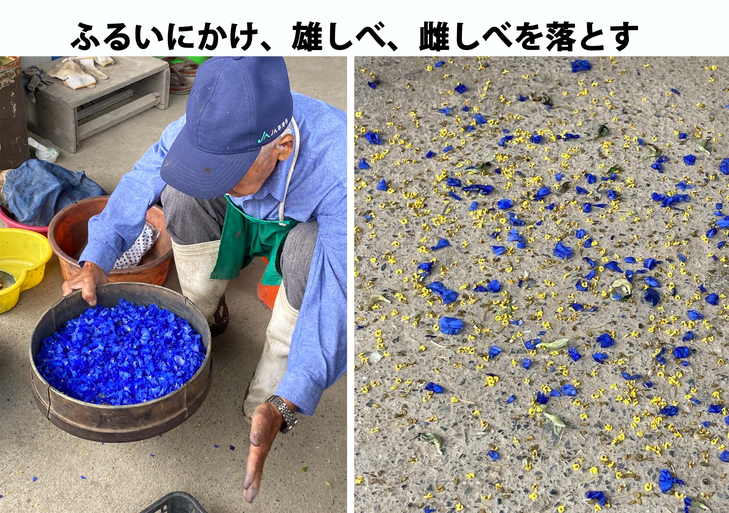 ふるいに掛ける